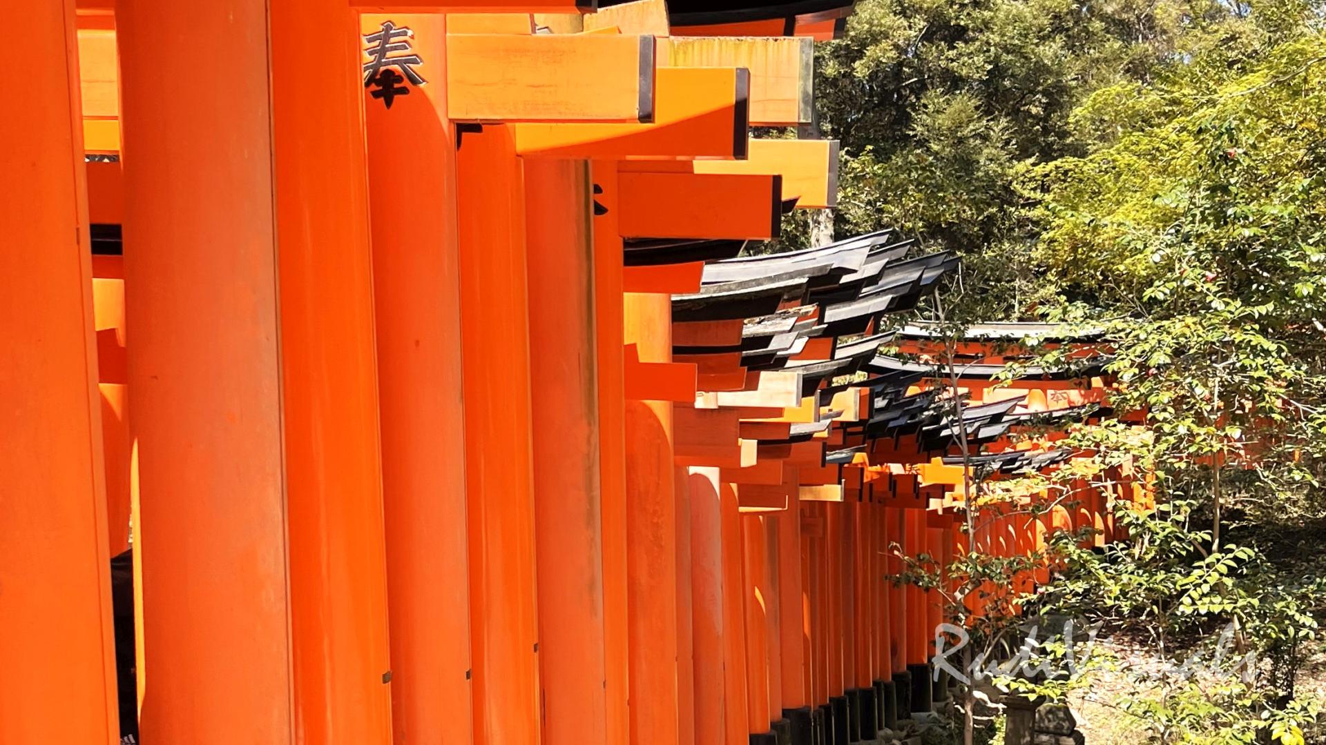 Fushimi Inari-Taisha – Der Schrein der tausend Torii