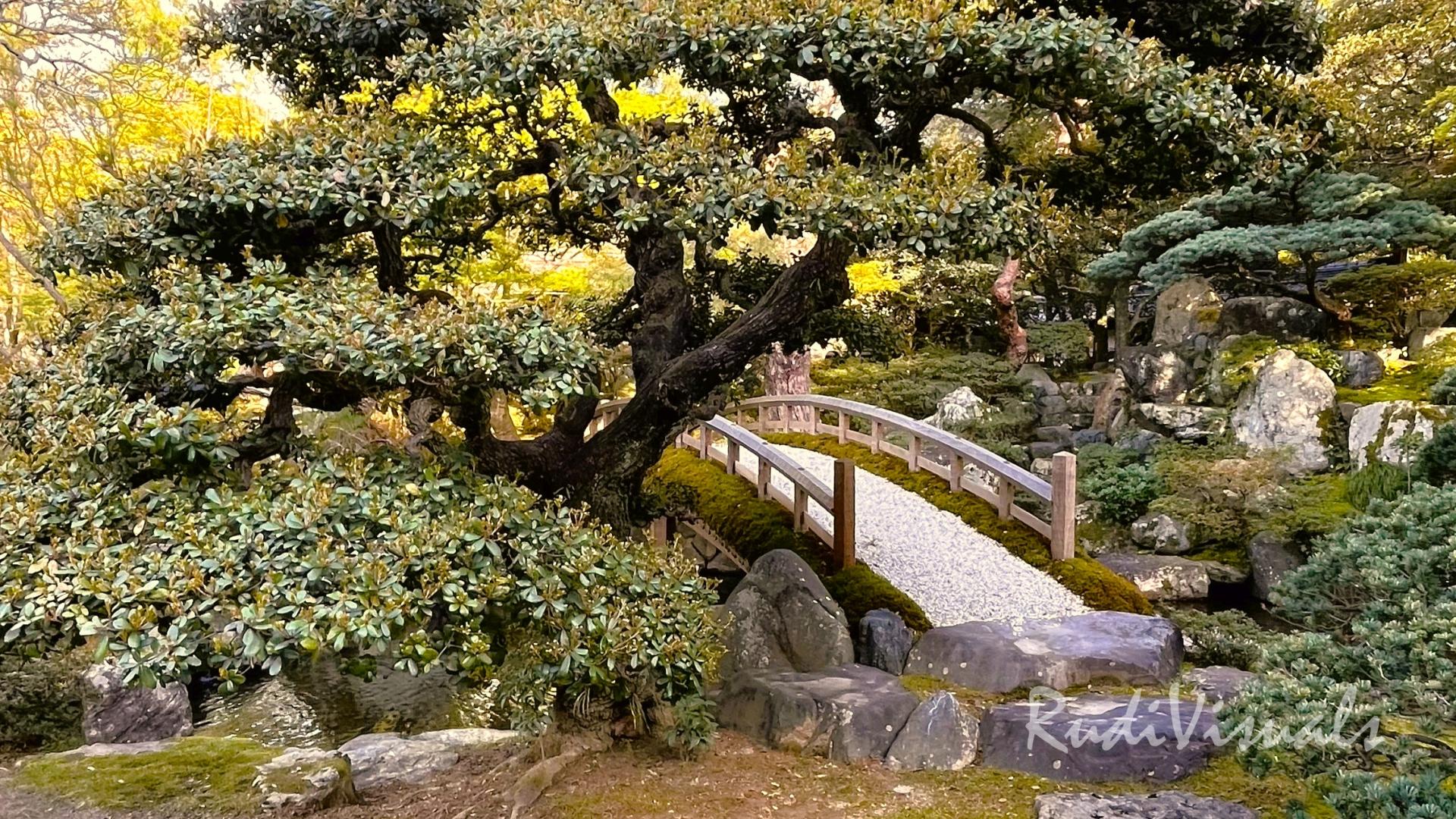 Kyoto Gyōten – Imperial Palace and Oikeniwa Garden